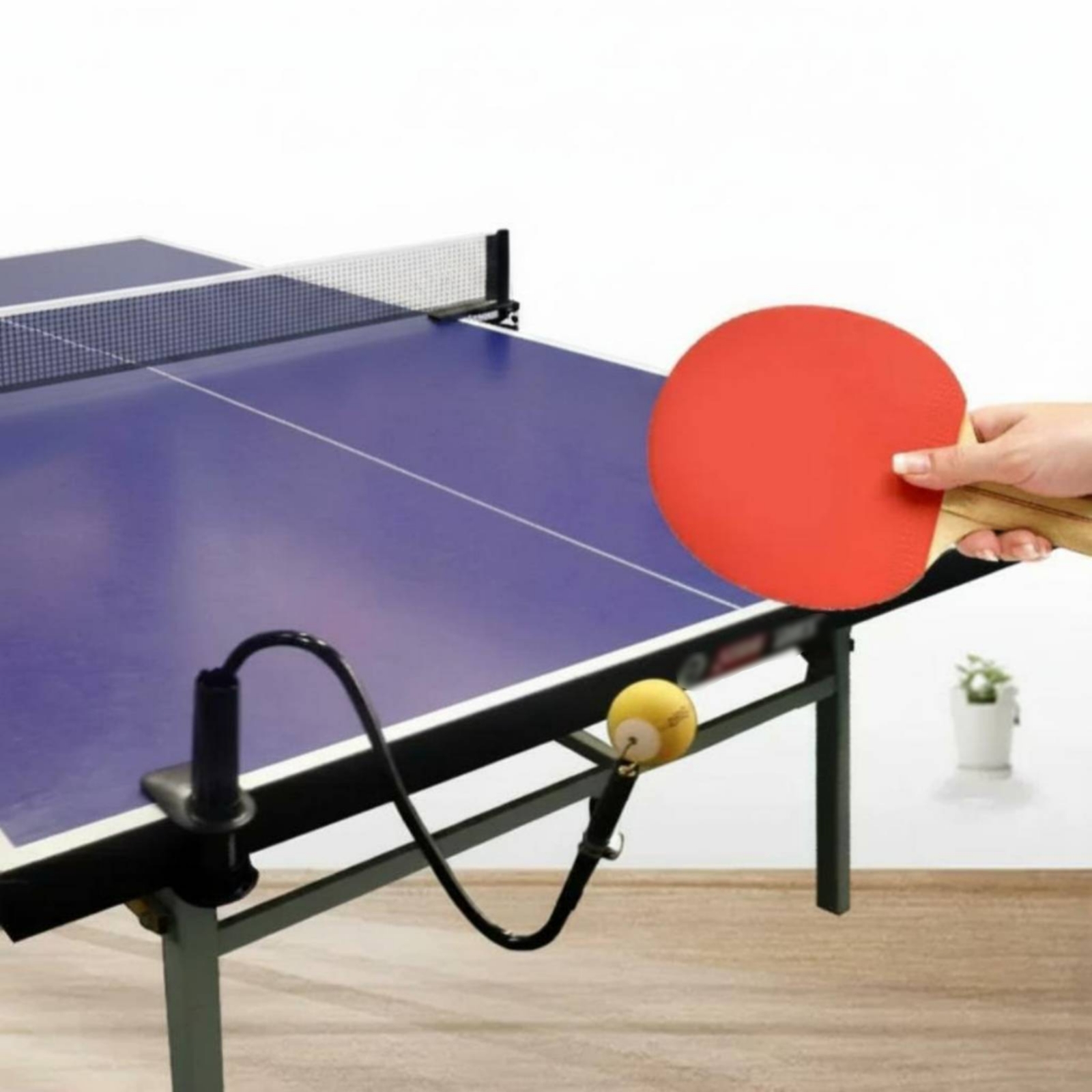 Table Tennis Solo Practice Aid - Table Tennis Youtube recension och pris